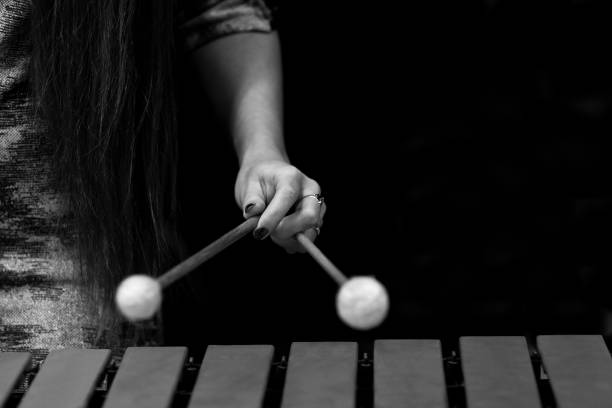 The hand of a girl playing a vibraphone The hand of a girl playing a vibraphone in black and white marimba stock pictures, royalty-free photos & images