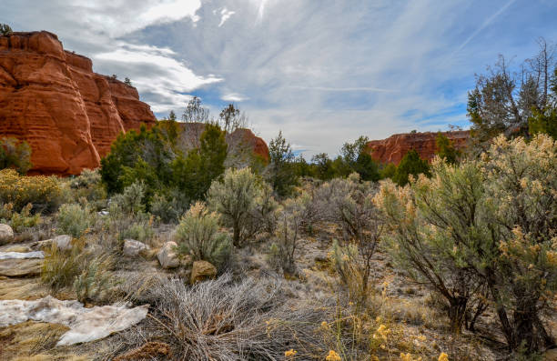 istock Kochorme Stat park Utah, dirt, desert scrub, sandstone formations 1138192142