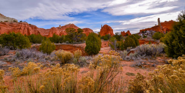 istock Kochorme Stat park Utah, dirt, desert scrub, sandstone formations 1138192146
