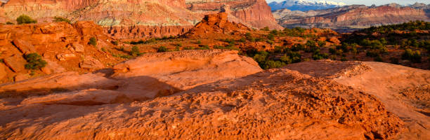istock Desert Terrain of Southern Utah 1138192843