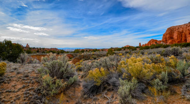 istock Kochorme Stat park Utah, dirt, desert scrub, sandstone formations 1138193678