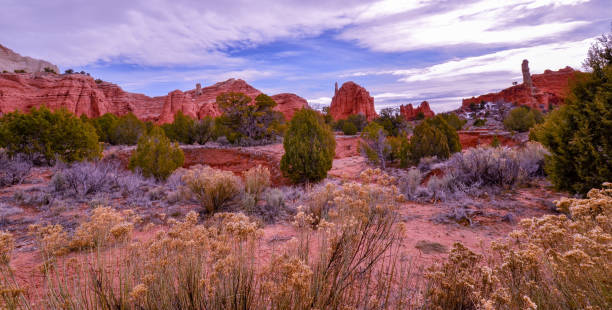 istock Kochorme Stat park Utah, dirt, desert scrub, sandstone formations 1138194399