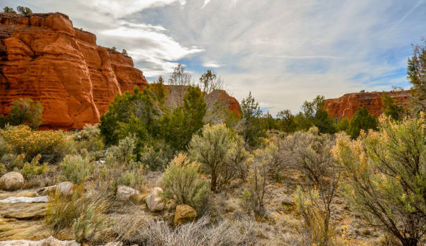 istock Kochorme Stat park Utah, dirt, desert scrub, sandstone formations 1138194433