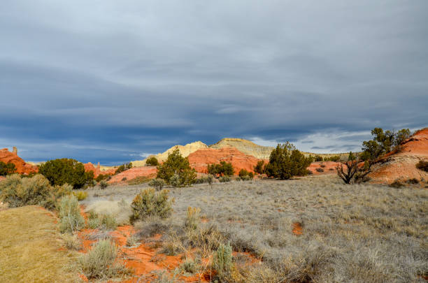 istock Kochorme Stat park Utah, dirt, desert scrub, sandstone formations 1138194456