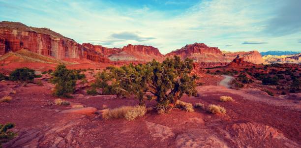 istock Desert Terrain of Southern Utah 1138195493