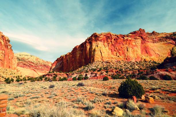 istock Desert Terrain of Southern Utah 1138195781