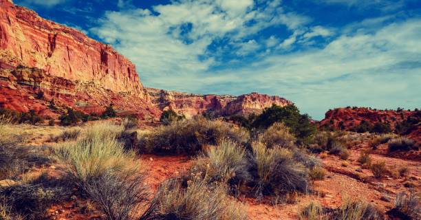 istock Desert Terrain of Southern Utah 1138195947