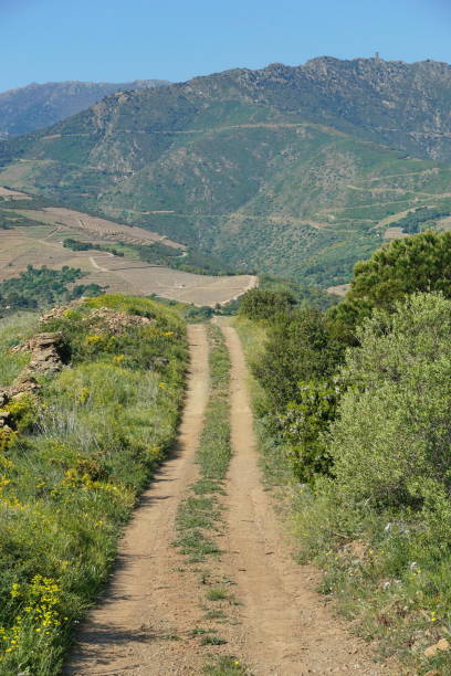 istock Path in the campaign Pyrenees Orientales France 1138196382