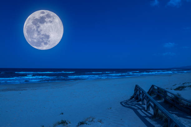 istock Landscape of beach at night 1138197509