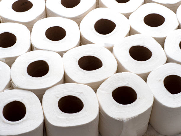 istock Rolls of White Toilet Paper 1138199613