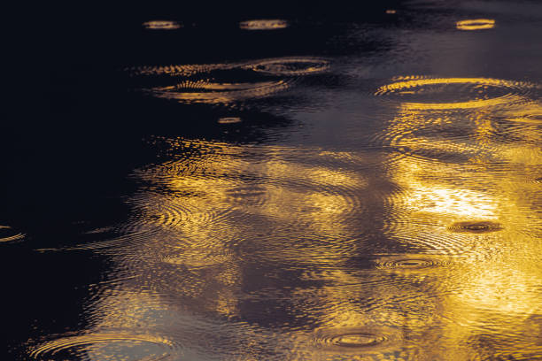 istock Amazing natural background with gold rainy circles on calm rippled water surface. Sunlight reflected in mountain lake with beautiful golden droplets close-up. Wonderful shiny rain drops in sunny light 1138202078
