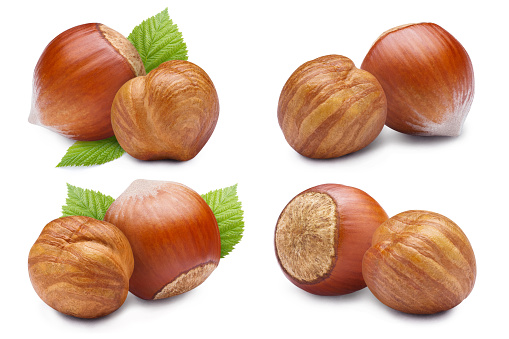 Set of hazelnuts, isolated on white background
