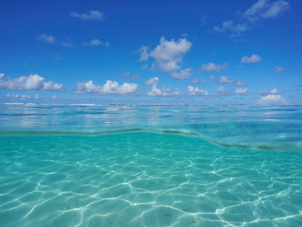 istock Seascape over under lagoon underwater sandy seabed 1138204684
