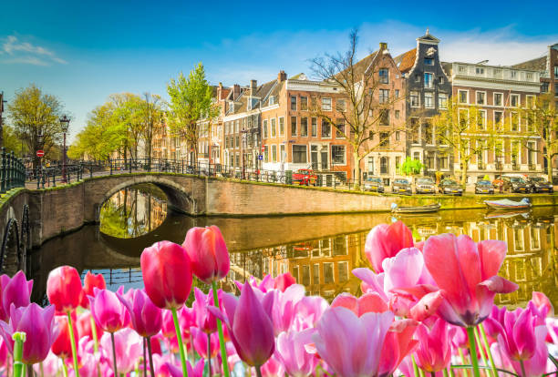 istock Houses of Amsterdam, Netherlands 1138205203