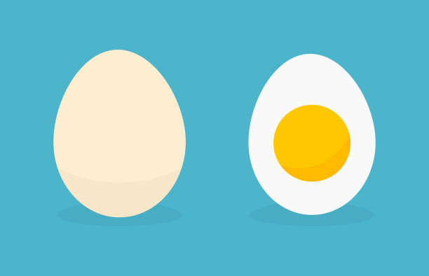 illustrazioni stock, clip art, cartoni animati e icone di tendenza di uovo in guscio e icone di uova sode. - uovo