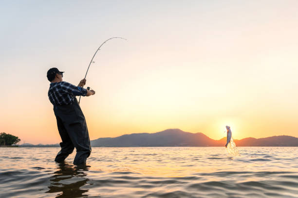 Fishing Fishing. Young asian man fisherman and trophy Pike is fishing on a lake at sunset. freshwater fishing photos stock pictures, royalty-free photos & images