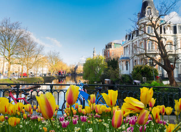 istock One of canals in Amsterdam 1138207937