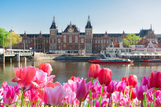 istock cityscape of Amsterdam at night 1138210839
