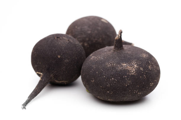 istock Black radish isolated on white background 1138211611