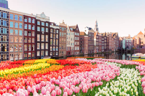 istock Houses of Amsterdam, Netherlands 1138211908