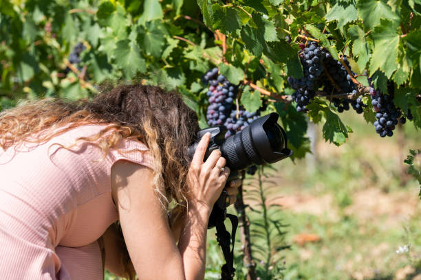 ブドウ畑ワイナリーのカメラで写真を撮る若い女性の写真家のクローズアップ肖像ブドウの葉は果物のイタリアで緑 - grape green red purple ストックフォトと画像