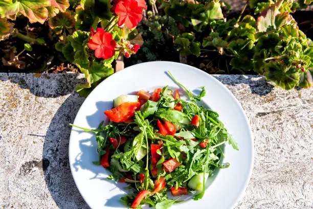 Flat top closeup of arugula salad on plate on terrace by red geranium flowers in garden outside in Italy in Tuscany