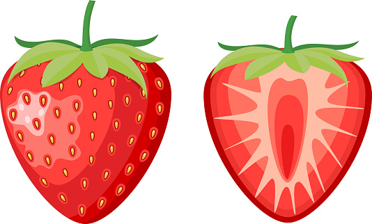 red berry strawberry and a half of strawberry isolated on white background. Vector illustration in flat style