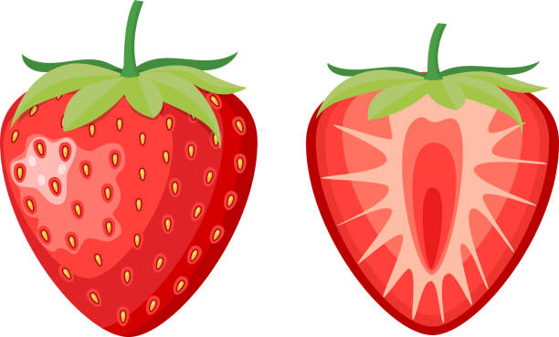 red berry strawberry and a half red berry strawberry and a half of strawberry isolated on white background. Vector illustration in flat style strawberry stock illustrations