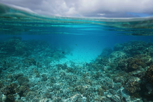 istock Underwater seascape coral reef and cloudy sky 1138215109