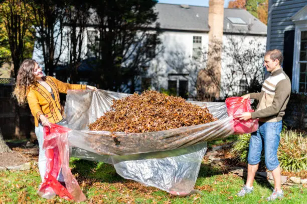Young happy man and woman couple homeowner in garden front yard backyard raking collecting dry autumn foliage oak leaves in fall winter spring gardening housework