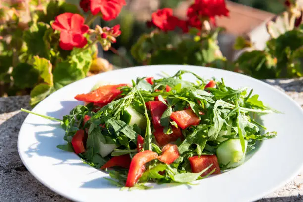 Closeup of arugula salad on plate on balcony terrace by red geranium flowers in garden outside in Italy in Tuscany