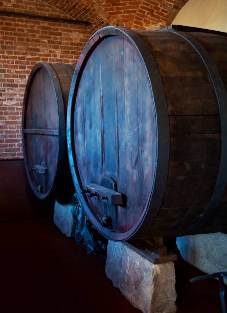 istock Big wine barrels in a cellar 1138221437
