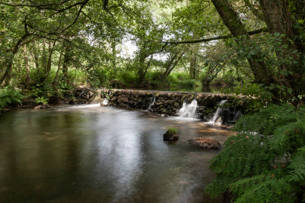 dam in a river of crystalline water, surrounded by green vegetation. - miniature weir imagens e fotografias de stock