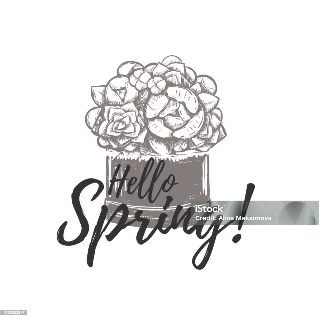 Hello Spring Line Drawing Hello Spring Vector Illustration Hand Drawing Stock Illustration ...