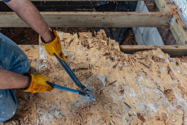 istock Demolition of Rotten Deck 1138227002