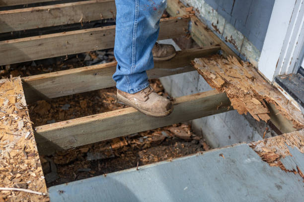 istock Workman Standing on joists of rotten deck 1138227033