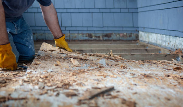 istock Demolition of Rotten Deck 1138227080