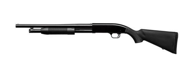 istock Shotgun isolated on white background 1138227967