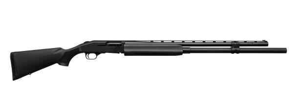 istock Shotgun isolated on white background 1138227971