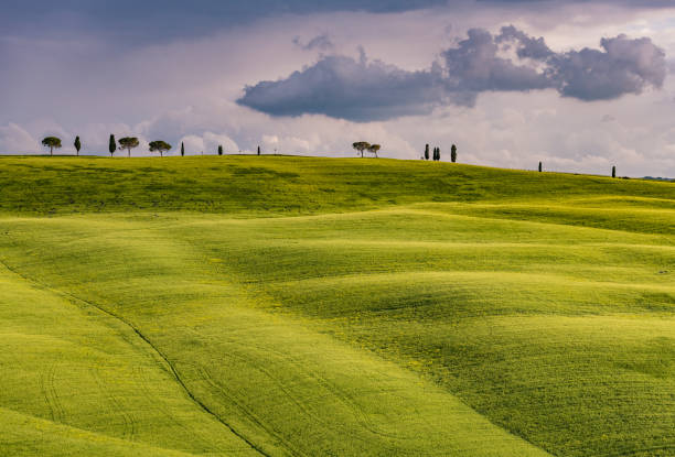 istock Sunny landscape from Val d'Orcia, Tuscany, Italy 1138228693