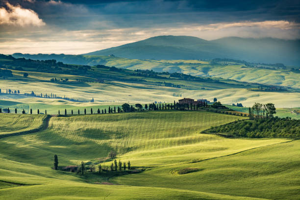 istock Sunny landscape from Val d'Orcia, Tuscany, Italy 1138229413