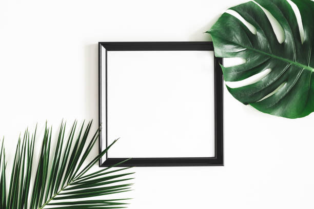 istock Summer composition. Tropical palm leaves, black photo frame on white background. Summer, nature concept. Flat lay, top view, copy space 1138229620