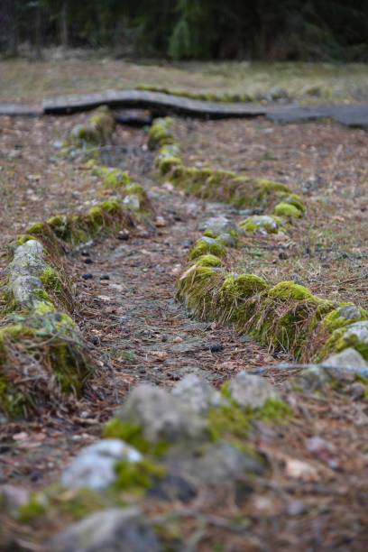 istock Dried creek in the forest with a bridge 1138230907