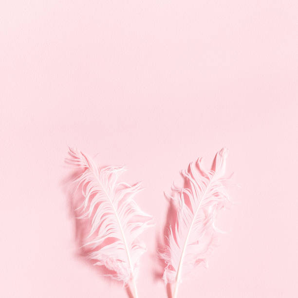 istock Easter composition. Rabbit ears made of feathers on pastel pink background. Flat lay, top view, copy space, square 1138231680