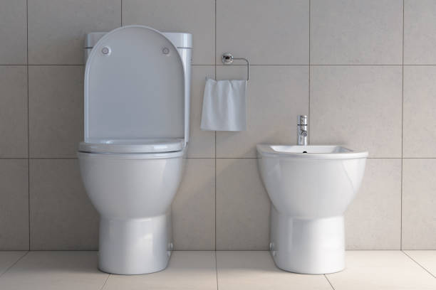 muszla klozetowa i bidet w nowoczesnej łazience. - bidet zdjęcia i obrazy z banku zdjęć