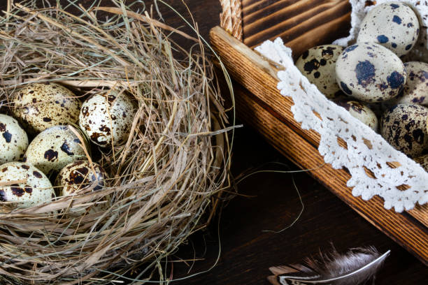 istock eggs lie in a nest on old wood table 1138235216