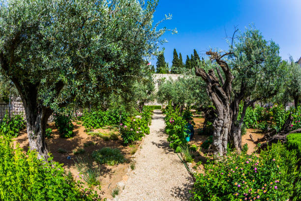 istock The smooth paths under the hot autumn sun 1138235812