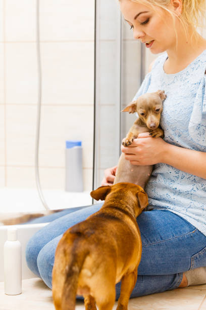 istock Woman playing with dog in bathroom 1138235968