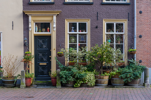 Beautiful city garden in front of the facade of an old historic building in the city center of Delft, the Netherlands