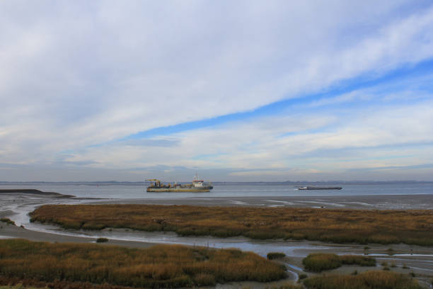 istock a ship navigates through river scheldt along the marsh towards antwerp in winter 1138241468